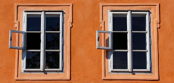 Zwillingsfenster, mit streifenfrei gereinigten Butzenfenstern - Putzfrau Hamburg-Eimsbüttel.
